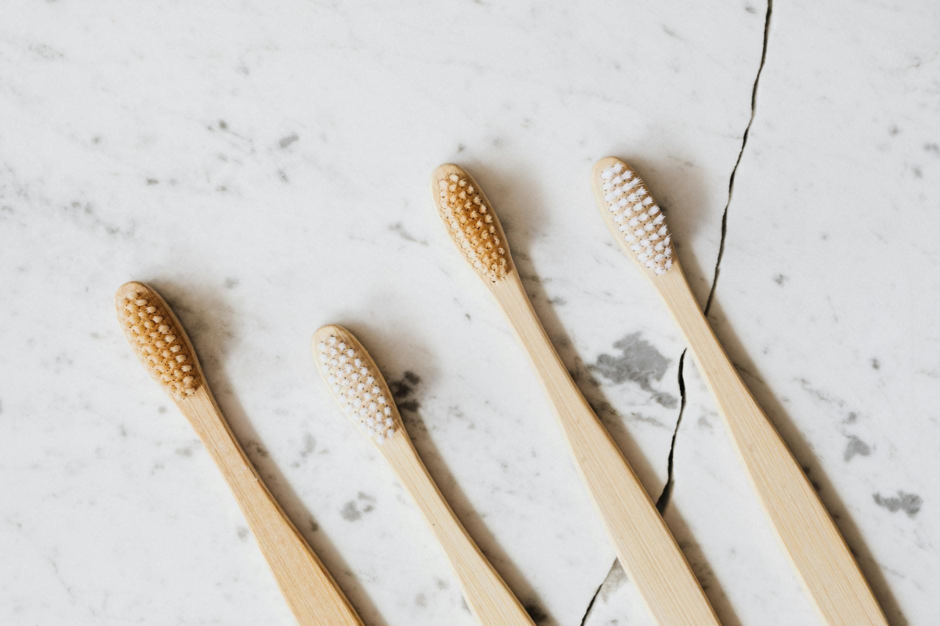 How to Compost a Bamboo Toothbrush the Right Way